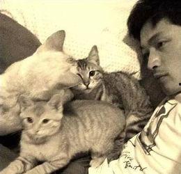 娛樂吃瓜君貓爺,揭秘娛樂圈那些不為人知的幕后故事